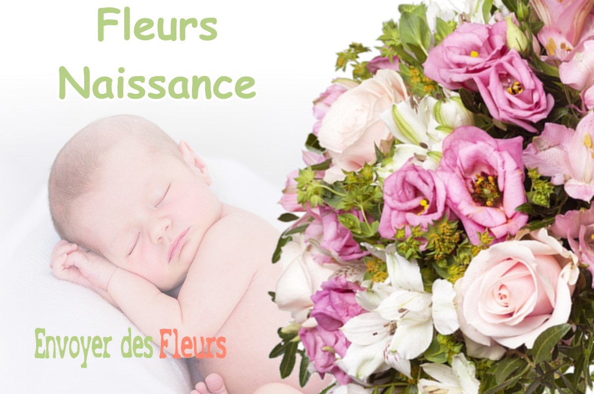 lIVRAISON FLEURS NAISSANCE à VALDEBLORE